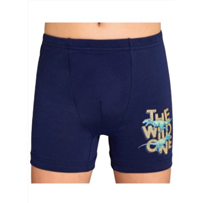 Трусы для мальчика Berrak