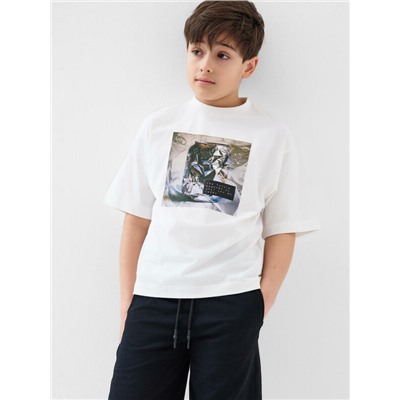 Фуфайка трикотажная для мальчиков (футболка)