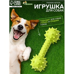 Жевательная игрушка для собак «Грозная гантель», 15×5 см, салатовая