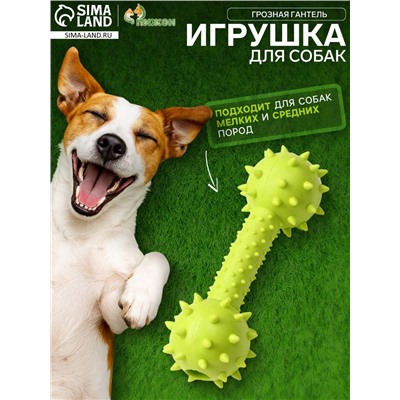 Жевательная игрушка для собак «Грозная гантель», 15×5 см, салатовая