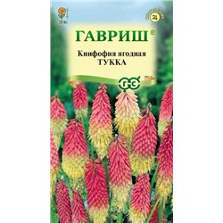 Книфофия Тукка (Код: 14514)