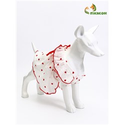 Платье для животных «Зефирка», размер L, ДС 35, ОГ 45 см, полиэстер