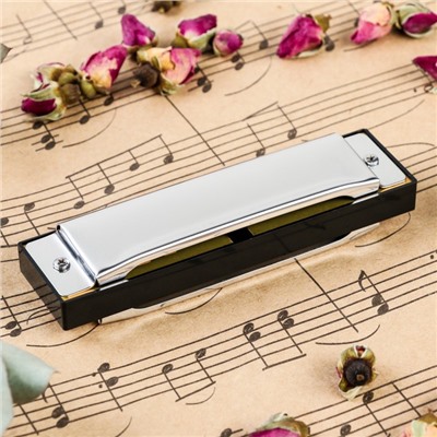 Губная гармошка Music Life T10-3 диатоническая, 10 отверстий, с футляром