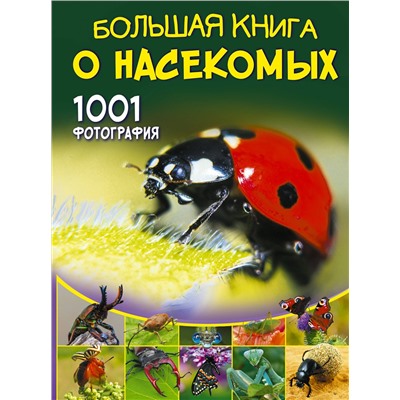 АСТ Спектор А.А. "Большая книга о насекомых. 1001 фотография"