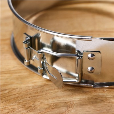 Форма для выпечки разъёмная «Фабиан», 17.5×5 см