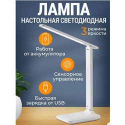 Настольная светодиодная аккумуляторная лампа