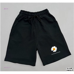 Шорты 2057813-1