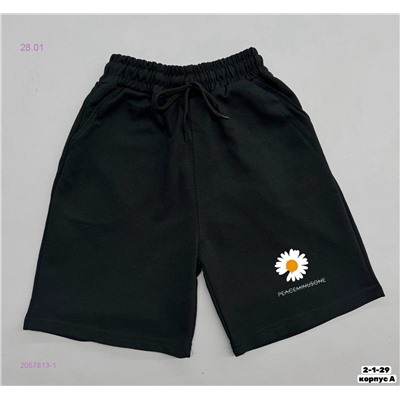 Шорты 2057813-1