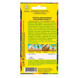 Семена цветов Капуста декоративная Пурпурный голубь F1  С. Takii Seed, Ц/П,7 шт.