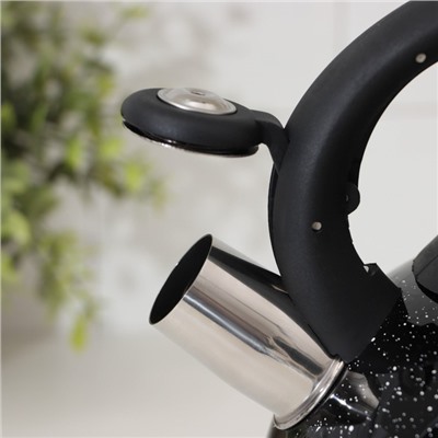 Чайник со свистком Доляна «Рио», 2.8 л, чёрный