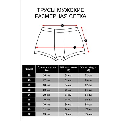 Трусы Сделано в СССР НАТАЛИ, 1065254