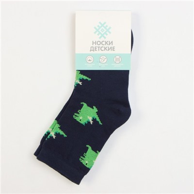 Носки детские KAFTAN «Дракоши», набор 2 пары, размер 14-16