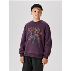 Acoola Джемпер 20110170180