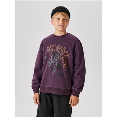 Acoola Джемпер 20110170180