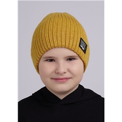 CLEVER Шапка