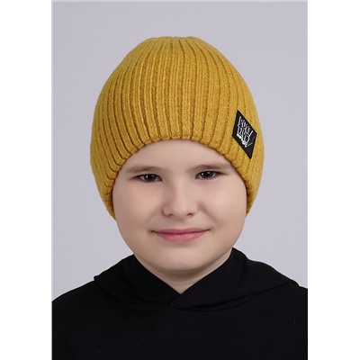 CLEVER Шапка