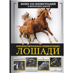 АСТ Спектор А.А. "Лошади. Большая визуальная энциклопедия"
