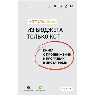АСТ Оля Сабылинская "Из бюджета только кот. Книга о продвижении и прогревах в инстаграме"