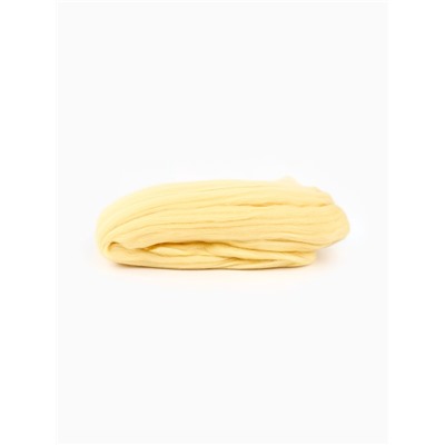 Шерсть для валяния, 100 г, цвет шампанское