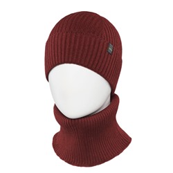 Комплект мужской Carrera SHM-110/111 Оквилл