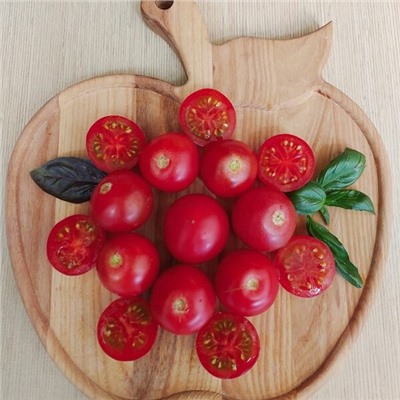 7031T Томат Карма розовая 10шт