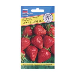 Семена Земляника ремонтантная «Сан Андреас», 0.01 г, «Престиж семена»