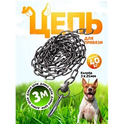 Цепь для привязи собак, 3 м, калибр 3×21 мм, черная