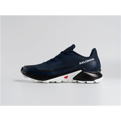 Кроссовки Salomon Alphacross 5 GTX