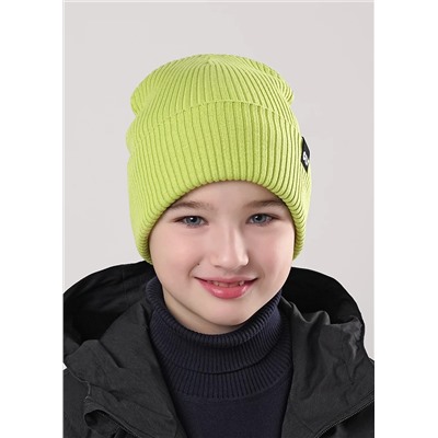 CLEVER Шапка 604387ха