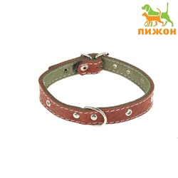 Ошейник комбинированный кожа/брезент, 46×2 см, безразмерный, микс цветов