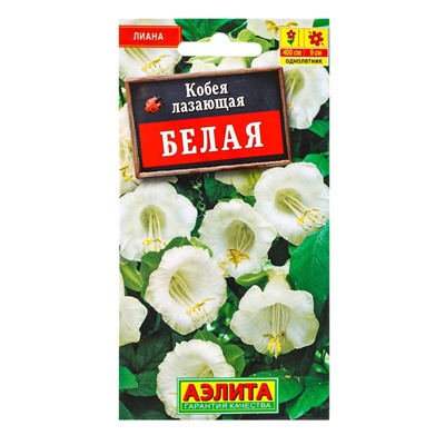 Семена цветов Кобея белая , Ц/П,0,45 г