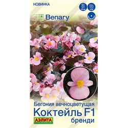 Бегония Коктейль Бренди F1 (Код: 93530)