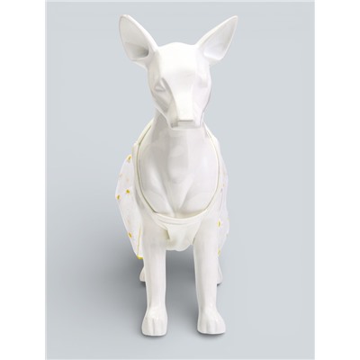 Сарафан для животных «Ромашка», размер L, ДС 35, ОГ 45 см, белый