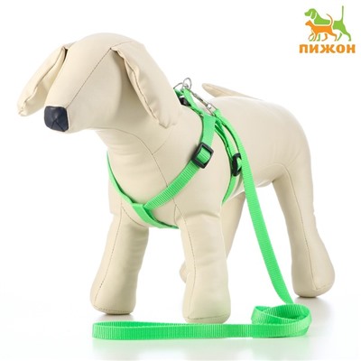 Шлейка с поводком «Базис», 32-46×1.5 см, поводок 120×1.5 см, зелёная