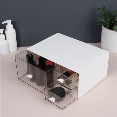 Органайзер для хранения BASIC, многоуровневый, 3 секции, 22.9×17.5×10 см, белый, прозрачный