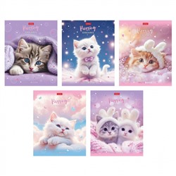 Тетрадь  48л клетка пластиковая обложка 300мкм "Нежные мечты" (092369) Хатбер