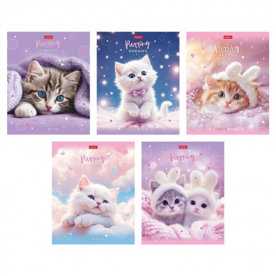 Тетрадь  48л клетка пластиковая обложка 300мкм "Нежные мечты" (092369) Хатбер