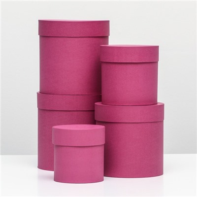 Набор шляпных подарочных коробок 5 в 1 «Фуксия однотонный»,20×20×20‒11×11×11 см