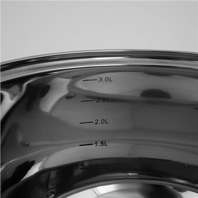 Кастрюля Доляна «Вернер», 3.5 л, d=20 см, с крышкой, капсульное дно, нержавеющая сталь, индукция