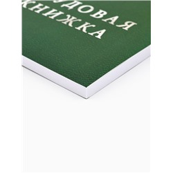 Ежедневник А5, 80 листов в тонкой обложке «Трудовая книжка»