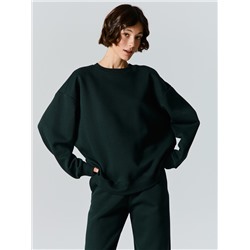 КОМПЛЕКТ ЖЕНСКИЙ (СВИТШОТ, БРЮКИ) 192562