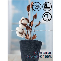 Киреевские носки+ мужские с-76 хлопок 100%