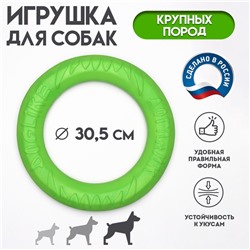 Кольцо «ДогЛайк» d=2611, 8-мигранное, большое, d=30.5 см, зелёное