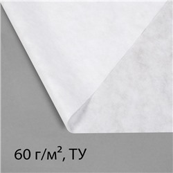 Материал укрывной, 5×2.1 м, плотность 60 г/м², с УФ-стабилизатором, белый, Greengo, Эконом 30%