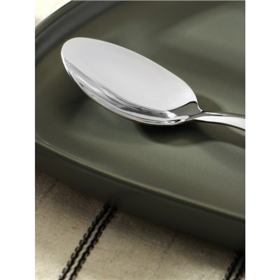 Ложка столовая «Эко-стейк», длина 19.5 см, толщина 1.5 мм, нержавеющая сталь, деревянная ручка, ручка, МИКС