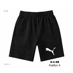 Шорты 1983951-3