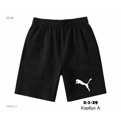 Шорты 1983951-3