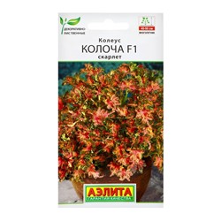 Семена цветов Колеус "Колоча" F1 скарлет, ц/п, 5 шт