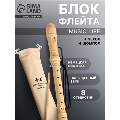 Блокфлейта Music Life, 8 отверстий, белый чехол, шомпол, 30 см