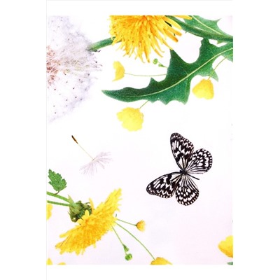 Леггинсы АПРЕЛЬ, 770512